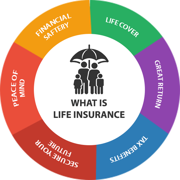 Life Insurance kya hota hai ko smjate hui image